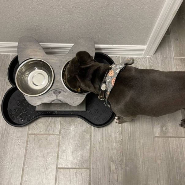 Dog Bowl stand, Elevated Dog bowl, Dog Stand-up eating and drinking, French Bulldog & Pug stand, small dog stand, dog face